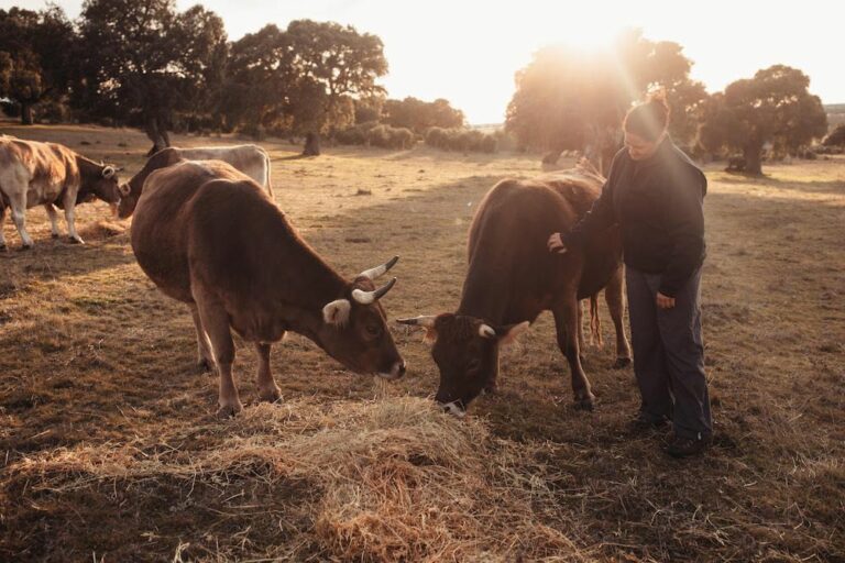 Día de la Mujer Rural: la mirada de las nuevas pobladoras